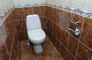 Tartalmaz egy WC a lakásban befejező anyagok tervezésére wc helyiség, ötletek, fotók