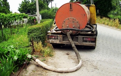 Frecvența septică, nuanțele, prețurile