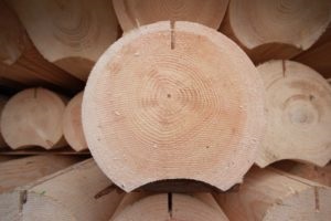 Pro și contra de case din lemn