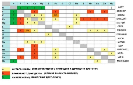 Hrănirea strugurilor, decât fertilizarea strugurilor în primăvară, vara, în toamnă