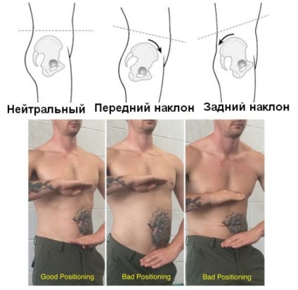 Lungimea musculară (psoas) - diagnosticul, biomecanica, exercițiile