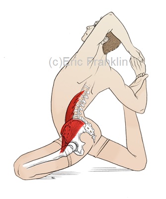 Horpaszizom izom (horpaszizom) - a diagnózis, biomechanika, a testmozgás