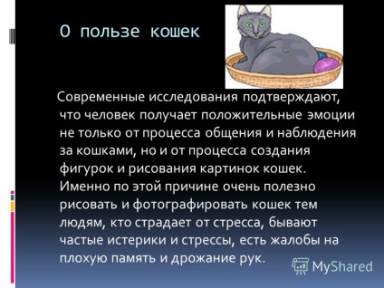 Презентация за предимствата на котки съвременни проучвания потвърждават, че човек получава