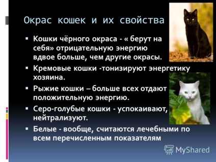 Презентація на тему про користь кішок сучасні дослідження підтверджують, що людина отримує