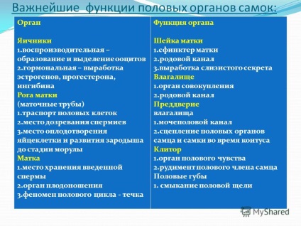 Prezentare pe tema familiarizării cu trăsăturile anatomice ale aparatului sexual al femelelor