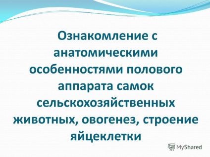 Prezentare pe tema familiarizării cu trăsăturile anatomice ale aparatului sexual al femelelor
