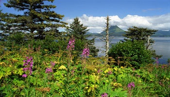 Natura Alaska, enciclopedie Statele Unite