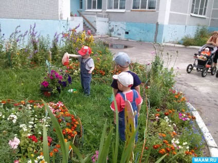 Proiect privind amenajarea peisagistică a sitului 