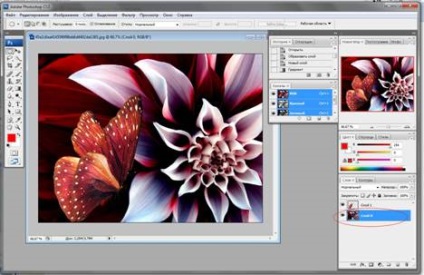 Lucrul cu straturi în Adobe Photoshop, platformă de conținut