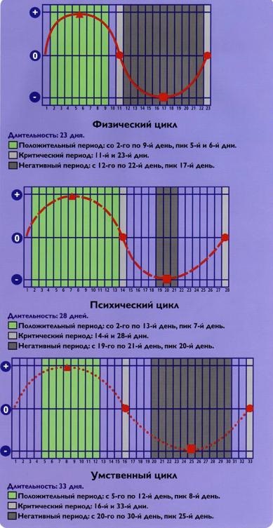 Calcularea bioritmilor umane - ezoterice și cunoașterea de sine