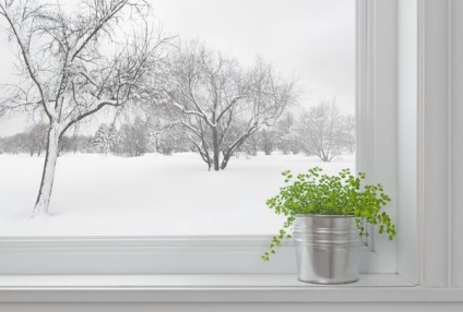 Növények a típusú élelmiszerek és kiválasztási kritériumok