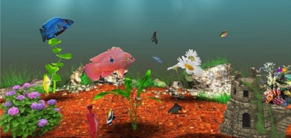 Rasește pește în joc - aquamir - acvariu 3d - în colegii de clasă