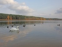 Sanatoriu al Porechye - sanatoriu al Belarusului Belarus