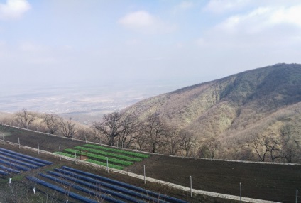 Сигнахи - що подивитися і як дістатися з тбилиси, пам'ятки грузії