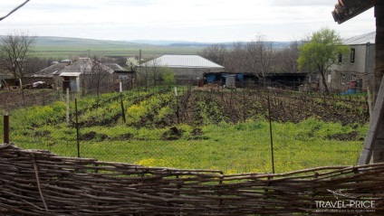 Sighnaghi szerelem városa Grúziában, ahol beleszerettem