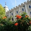 Schimbarea gardei de la Palatul Buckingham din Londra, în străinătate