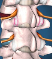 Specializarea clinicii