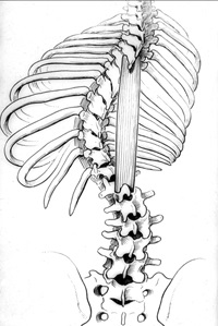 Specializarea clinicii