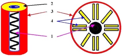 Structura și clasificarea virusurilor