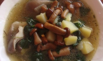 Supa din rețete de rețete și cum să gătești