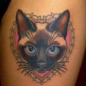 Cat Tatuaje, adică