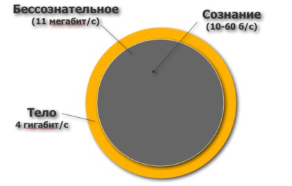 Teoria gândirii inconștiente - Institutul Neocode - Codul NLP nou