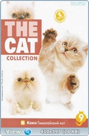 Colecția de pisici