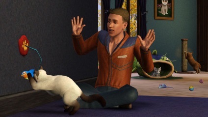 Sims 3