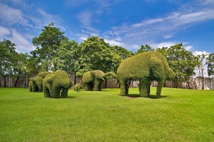 Topiary este