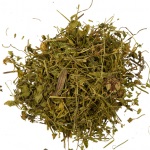 roccina Grass (rocoina, rocoina) proprietăți utile, Dubravnaya terapeutice pentru tiroida