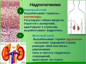 Antrenamentul este o victorie asupra oboselii cronice! Cum să vă recâștigeți puterea, energia și bucuria vieții!