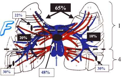 Tromboembolismul arterei pulmonare (teela)