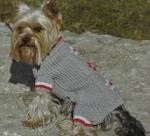 Învățarea de a tricota haine pentru câini