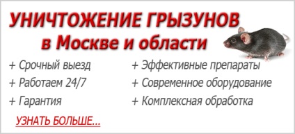 Ecografia împotriva șoarecilor este ultimul cuvânt tehnic în lupta împotriva rozătoarelor