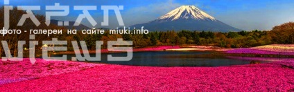Dispozitivul casei și grădinii japoneze tradiționale, miuki mikado • Japonia virtuală
