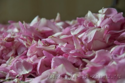 Rózsaszín szirmokból ropogás a receptet egy tea rózsa fotóval (7 recept)