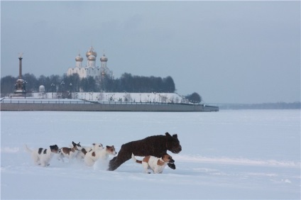 Pentru prima dată în Rusia și Yaroslavl - yportal, forum Yaroslavl