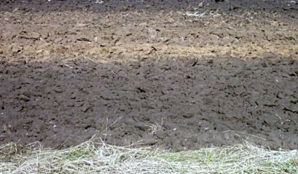 Caracteristicile solului, cum să îmbunătățească solul a șase sute de consilii