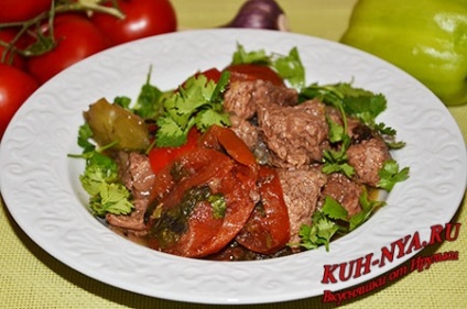 Khashlama (tocană de carne de vită cu legume în limba armeană) - o colecție de rețete culinare de yummy delicioase