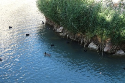 Zaslavskoye Reservoir vélemények és jelentések a halászati ​​és rekreációs