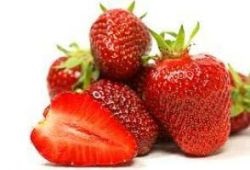 Descrierea varietatii de strawberry elsanta, fotografie, cultivarea capsunelor salbatice, recenzii