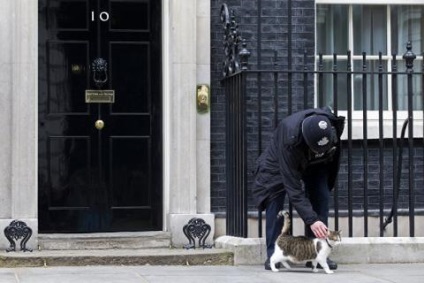 Viața lui Larry își petrece zilele cea mai importantă pisică a Imperiului Britanic (foto) - știri de știri