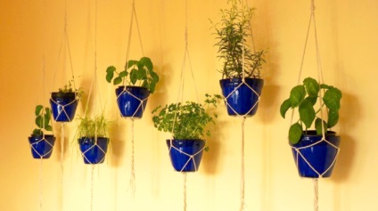 13 Idei simple și eficiente pentru crearea unei grădini verzi la domiciliu