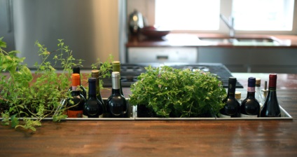 13 Idei simple și eficiente pentru crearea unei grădini verzi la domiciliu
