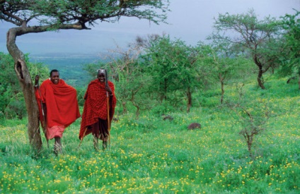 15 Fapte despre tribul african din Masai, Tanzania