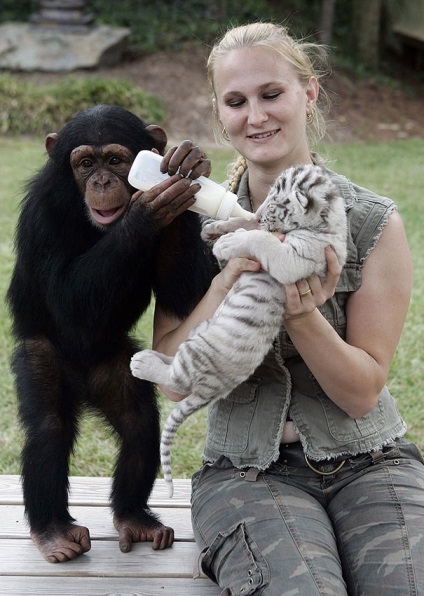 15 Povestiri uimitoare despre prietenia dintre animale