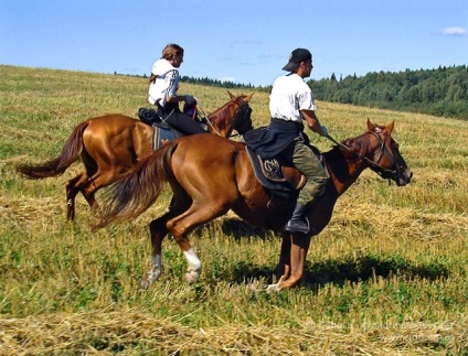 25 sfaturi pentru mersul în natură - despre cai, călare