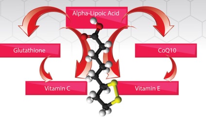 Acidul alfa-lipoic revigorează ficatul și întinerește întregul corp