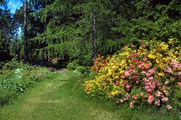 Arborétum mustila (myustilya Arborétum), tereprendezés kertek és parkok