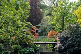 Arboretum trompenburg, design peisagistic de grădini și parcuri